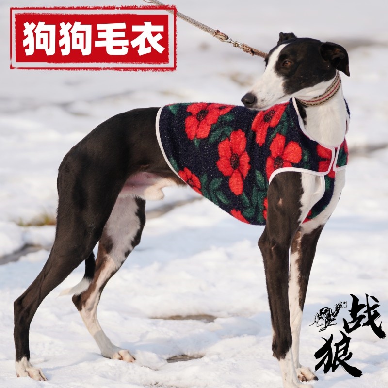 赛犬冬季加绒方便毛衣舒适透气简约条纹加厚保暖针织时尚冬天必备