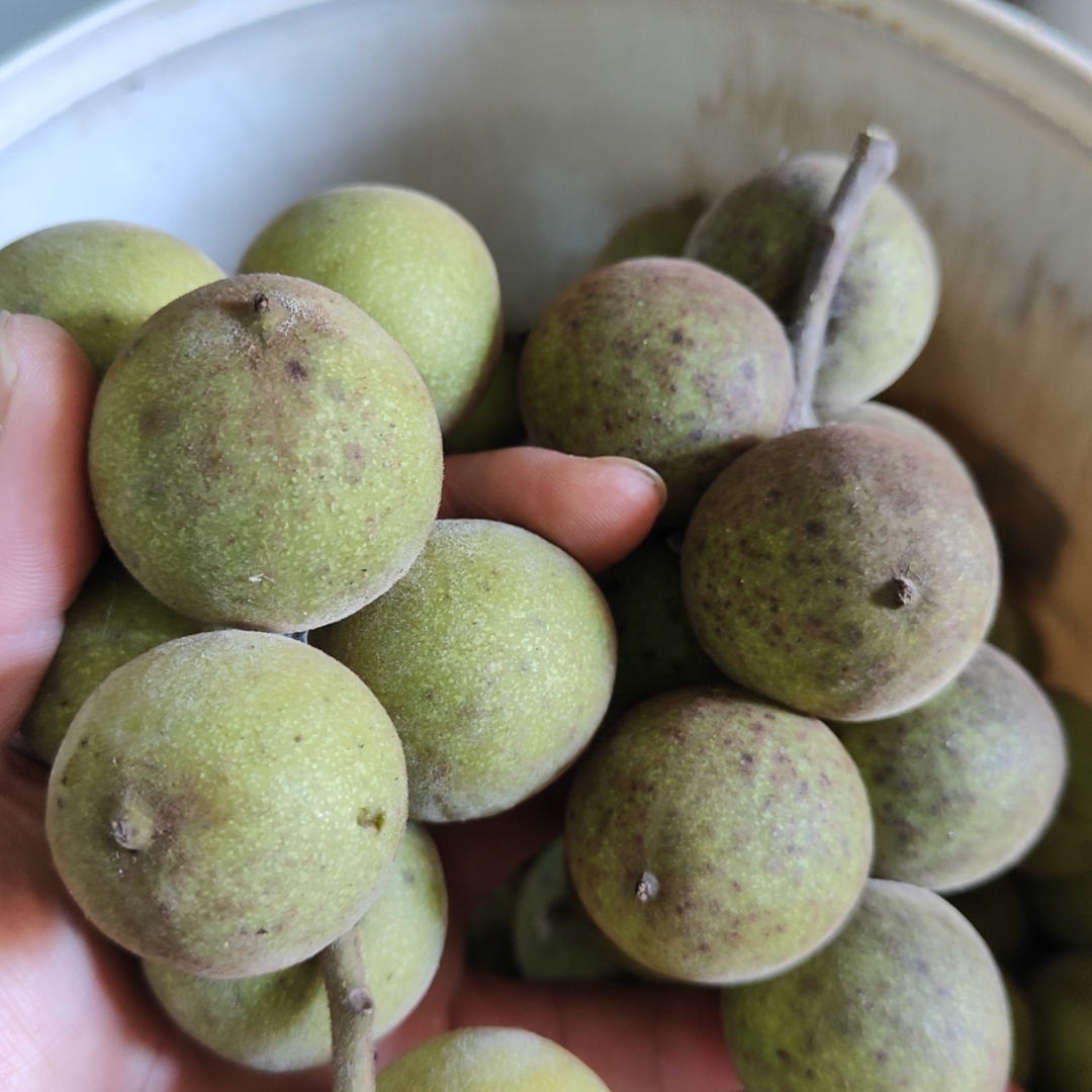 （无货）放心拍 自家无药 无人工 手捻核桃  25个以上青皮 23.8