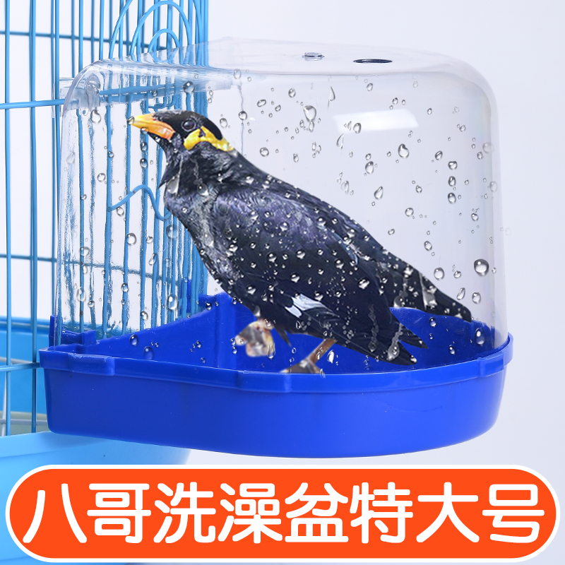 鹦鹉八哥洗澡盆专用神器特大号虎皮玄凤鸟用洗澡盒外内挂用品大全