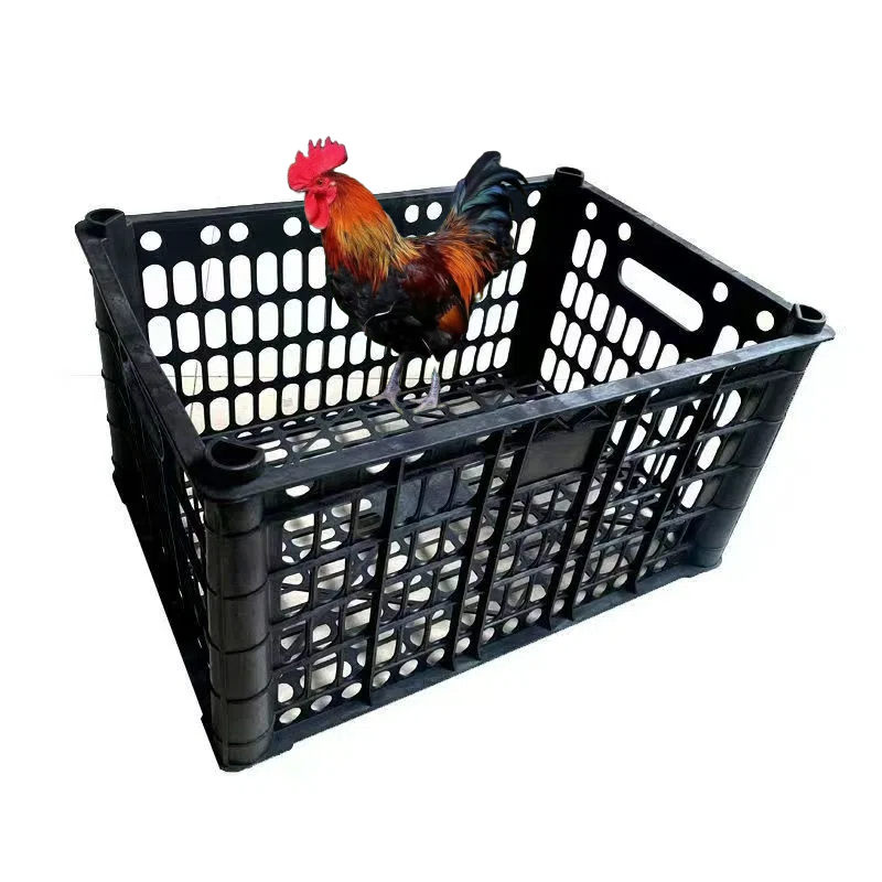 九斤红宠物笼子可装6只不挤