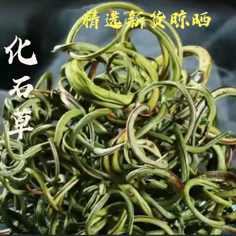 偏二哥山货化石草50g