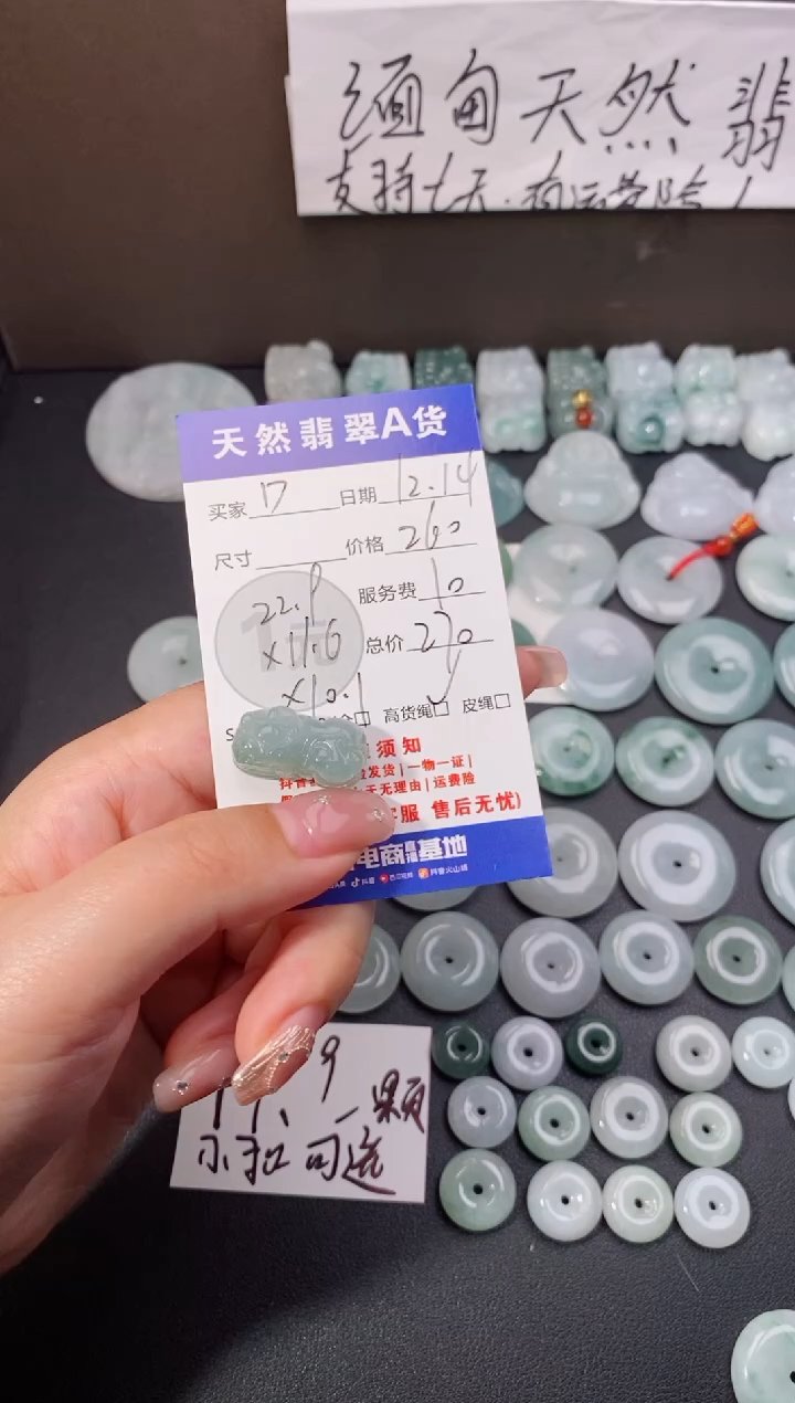 【闪购商品】翡翠颈饰未镶嵌天然翡翠貔貅
