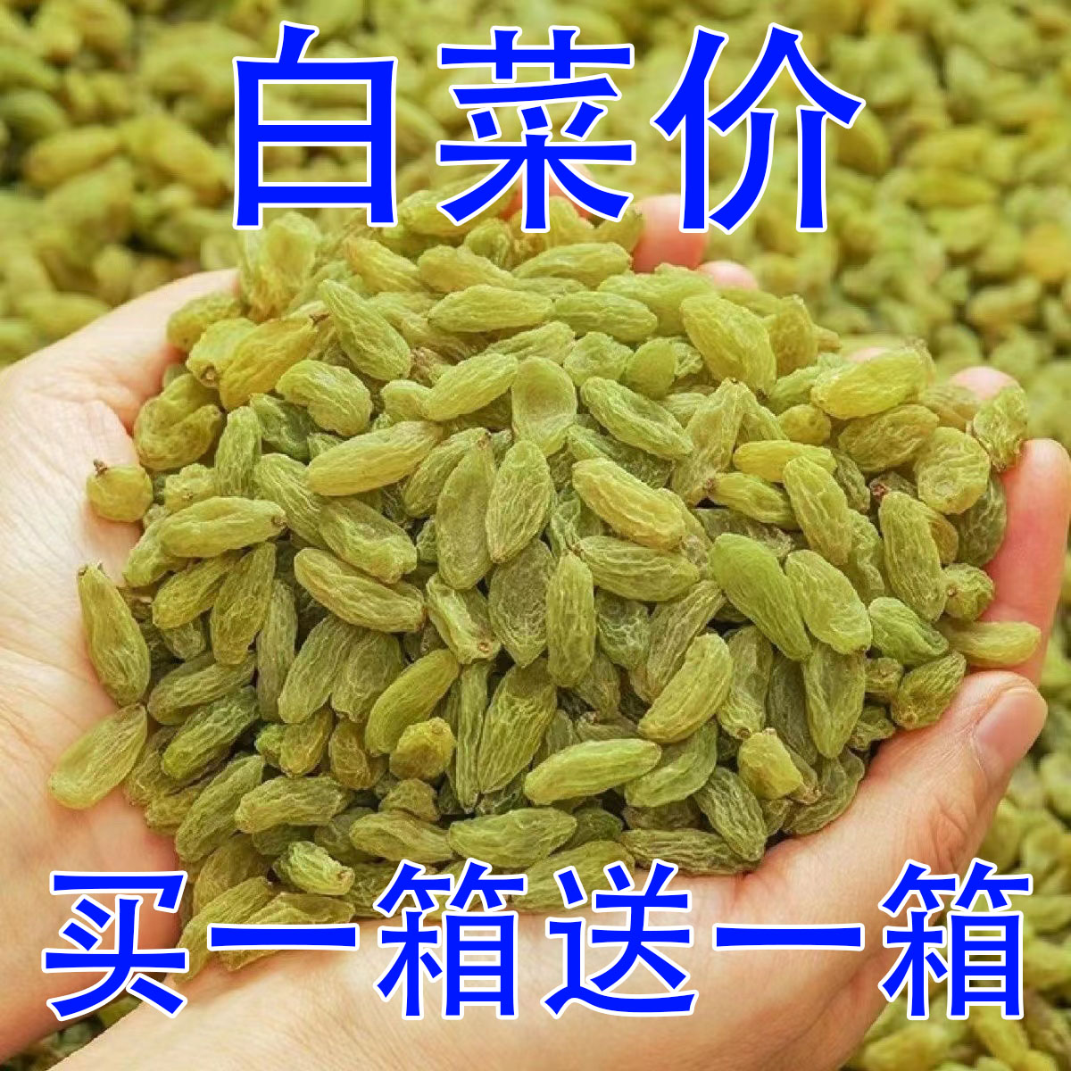 【买一斤送一斤】葡萄干新疆特级2023新货免洗大颗粒优质葡萄干商用