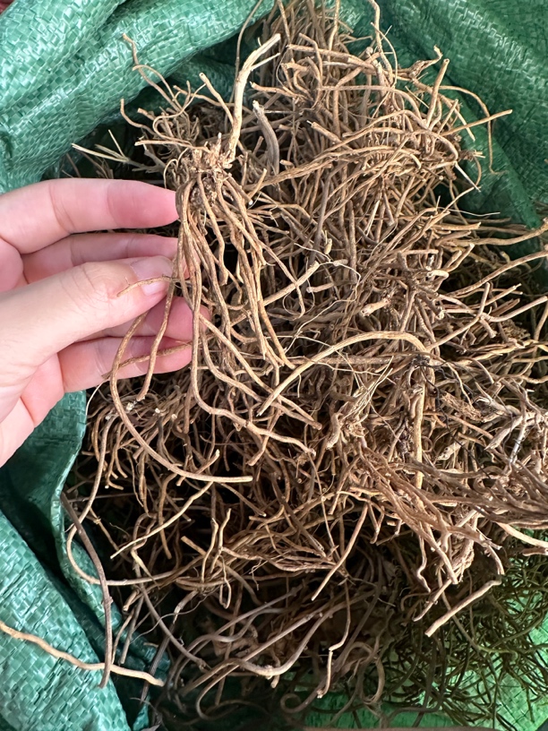 双飞蝴蝶 三十六荡 老君须 老虎须 三十六根成扎250克包邮