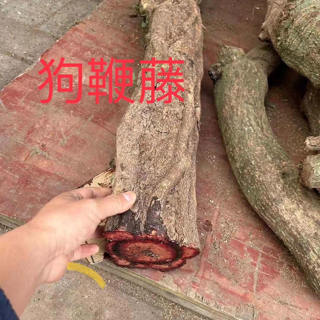 广西野生狗鞭藤 血藤 500g一份