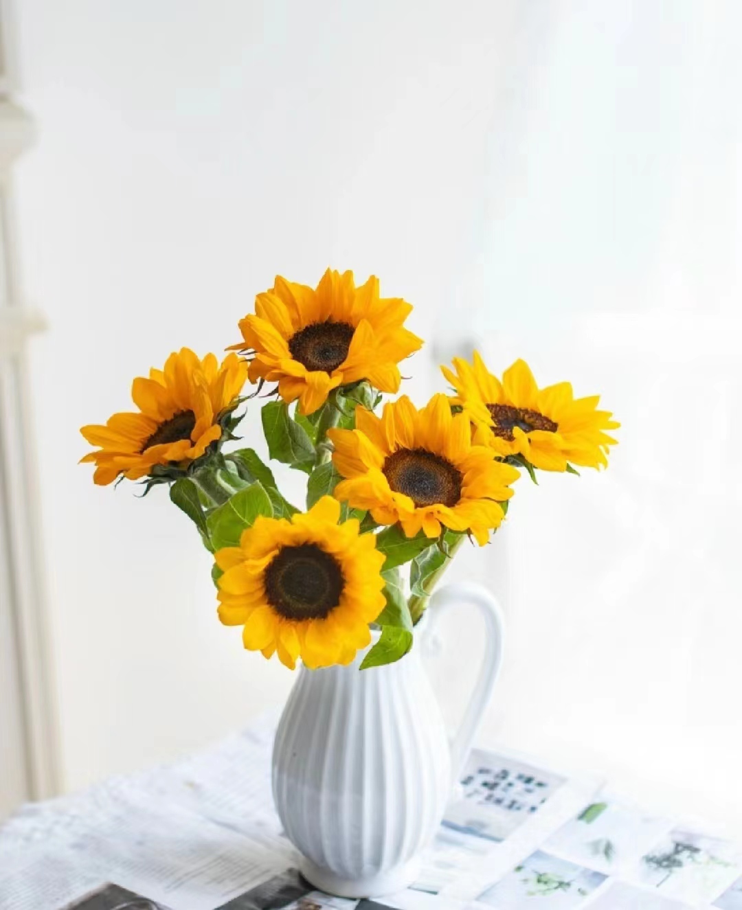 【向日葵】全场两单以上顺丰冷链包邮——云南基地直发保鲜观赏鲜活