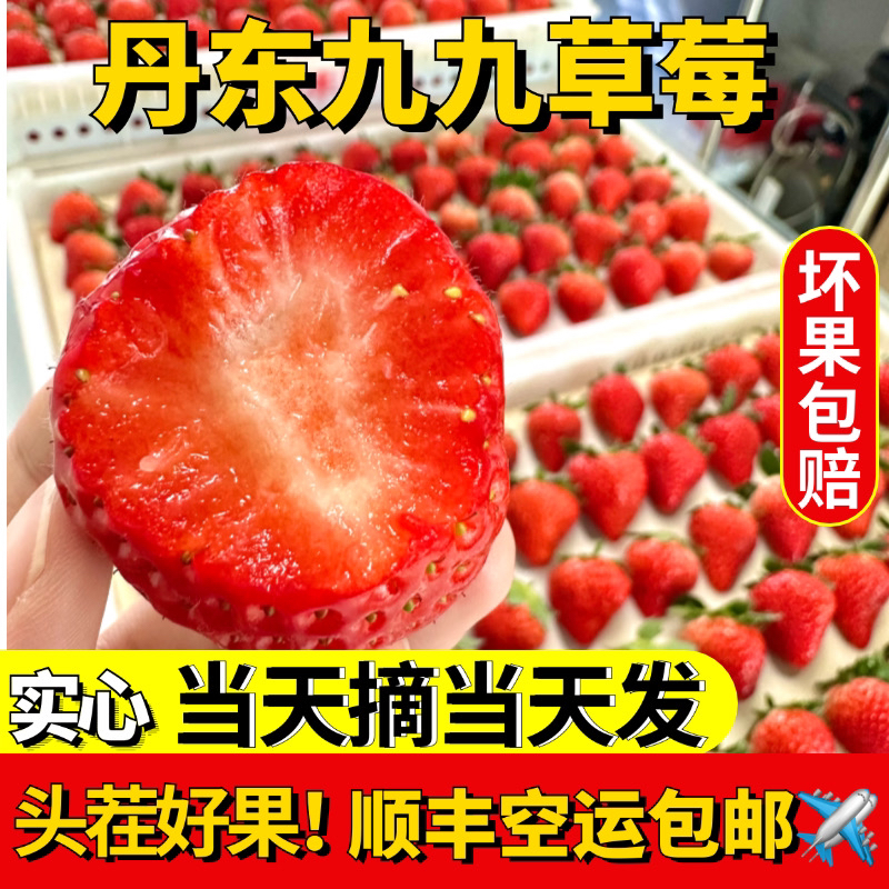 辽宁丹东正宗九九草莓现摘现发孕妇宝宝可食顺丰空运包邮