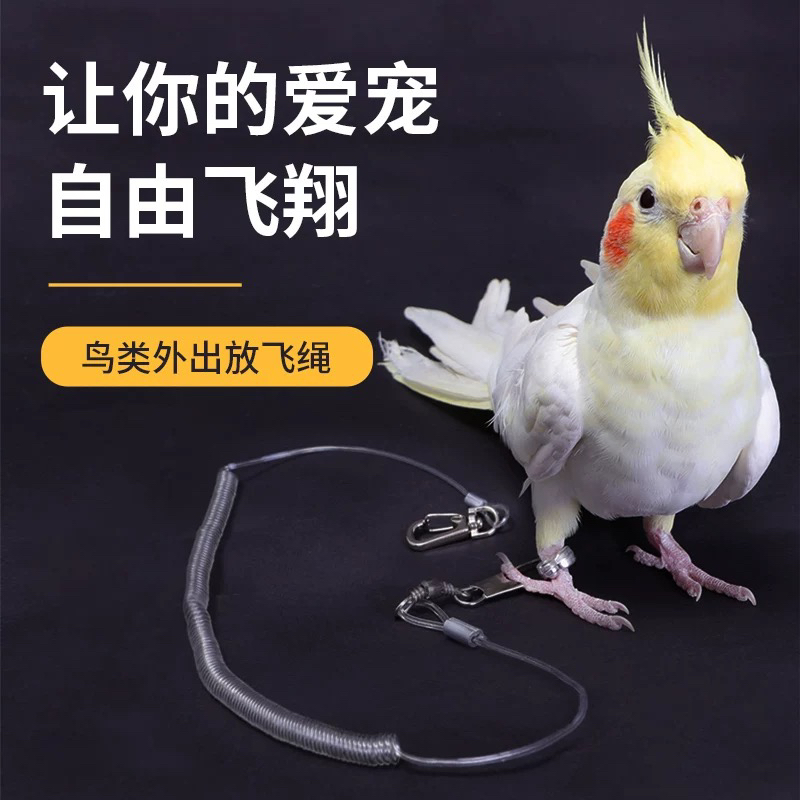鹦鹉放飞绳脚环脚链防脱脚扣合金弹力绳鸟用品用具户外