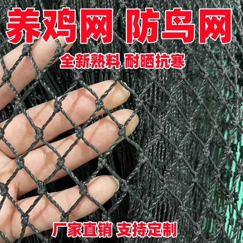 定制尼龙养殖网聚乙烯户外养鸡网拦鸡围网菜园护栏网防鸟网天网