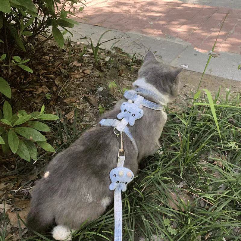 猫绳猫咪牵引绳可调节加长可爱工字型防挣脱猫咪外出遛绳子