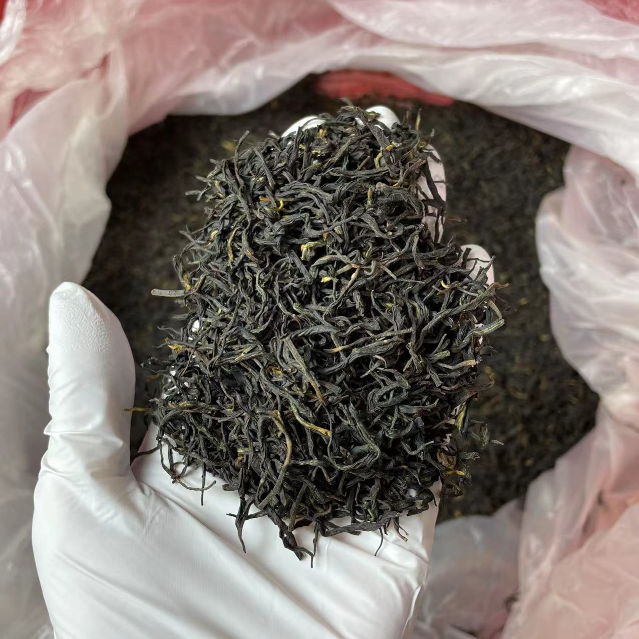 【焦糖香红茶】甜香顺口 不苦不涩不酸 口粮红茶叶 2025新茶