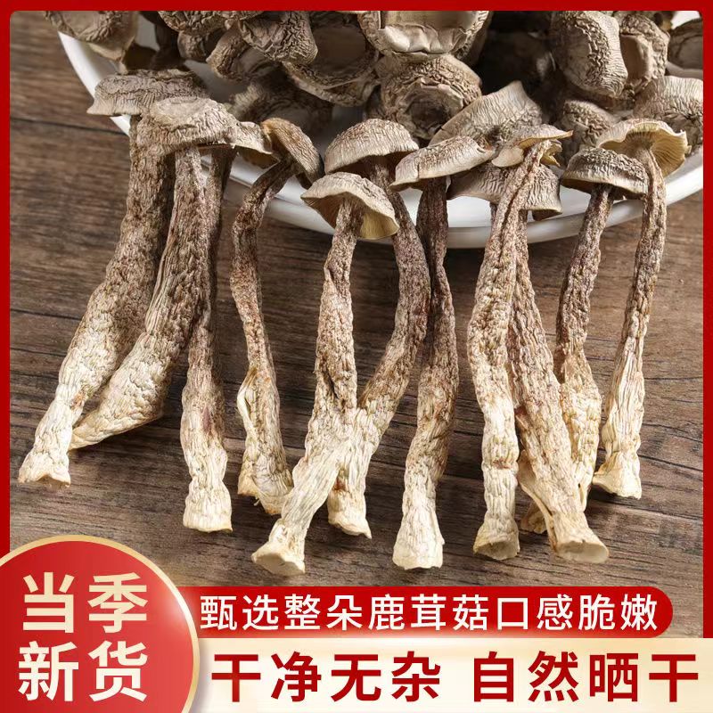 无干燥剂 干货鹿茸菇 优质干货鲜香脆嫩MM 500g