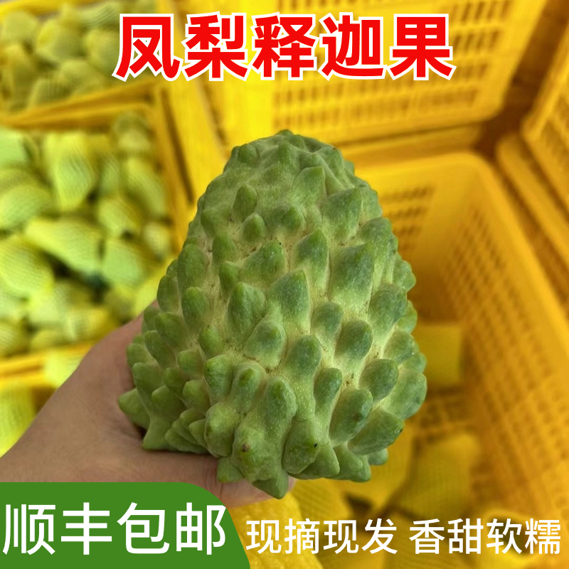 【广西凤梨释迦】新鲜水果牛奶释迦3/5斤香甜刺果番荔枝