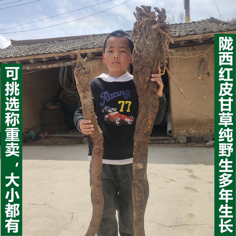 野山多年生长老甘草250-500克包邮