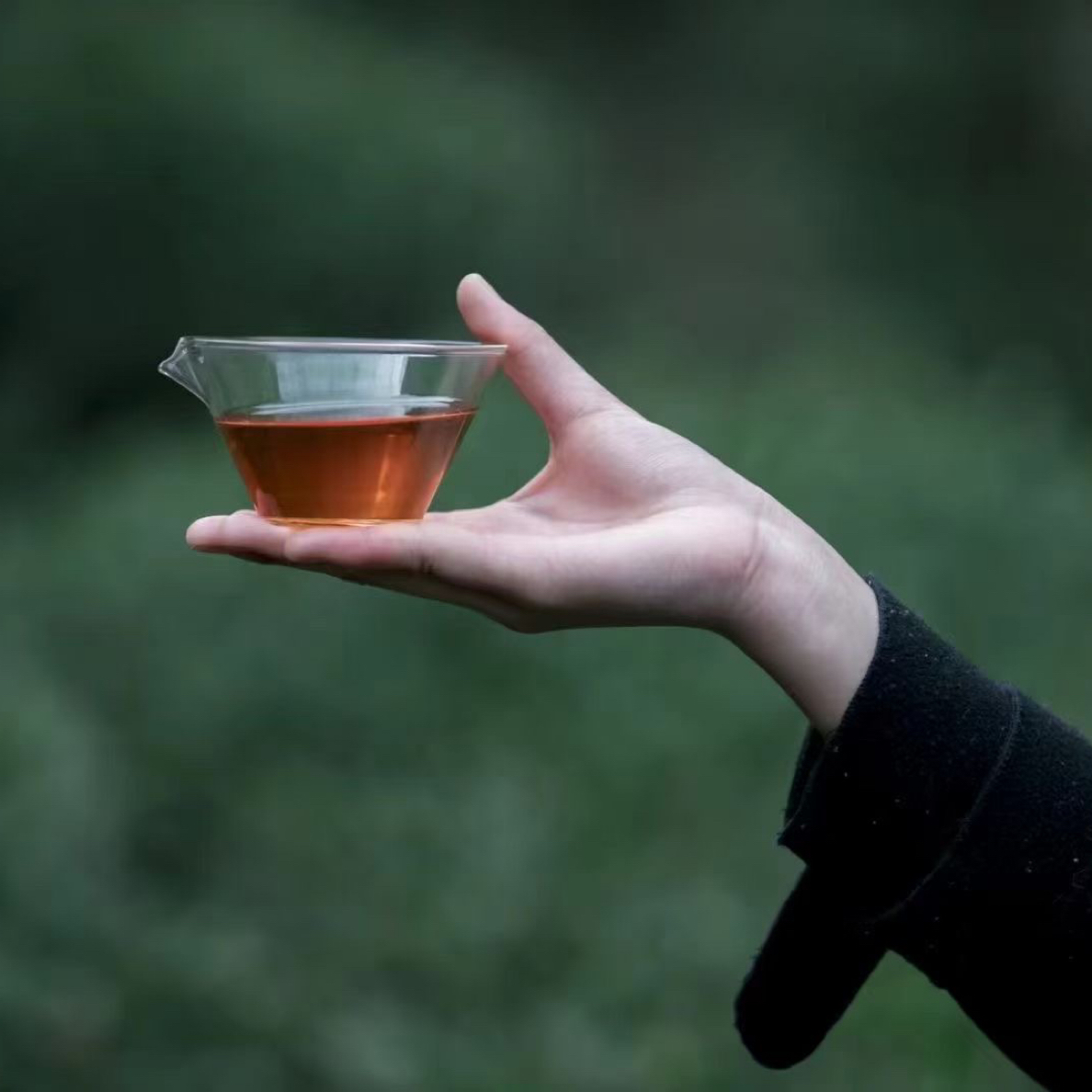 神农架高山自然生长红茶【明霞自营】