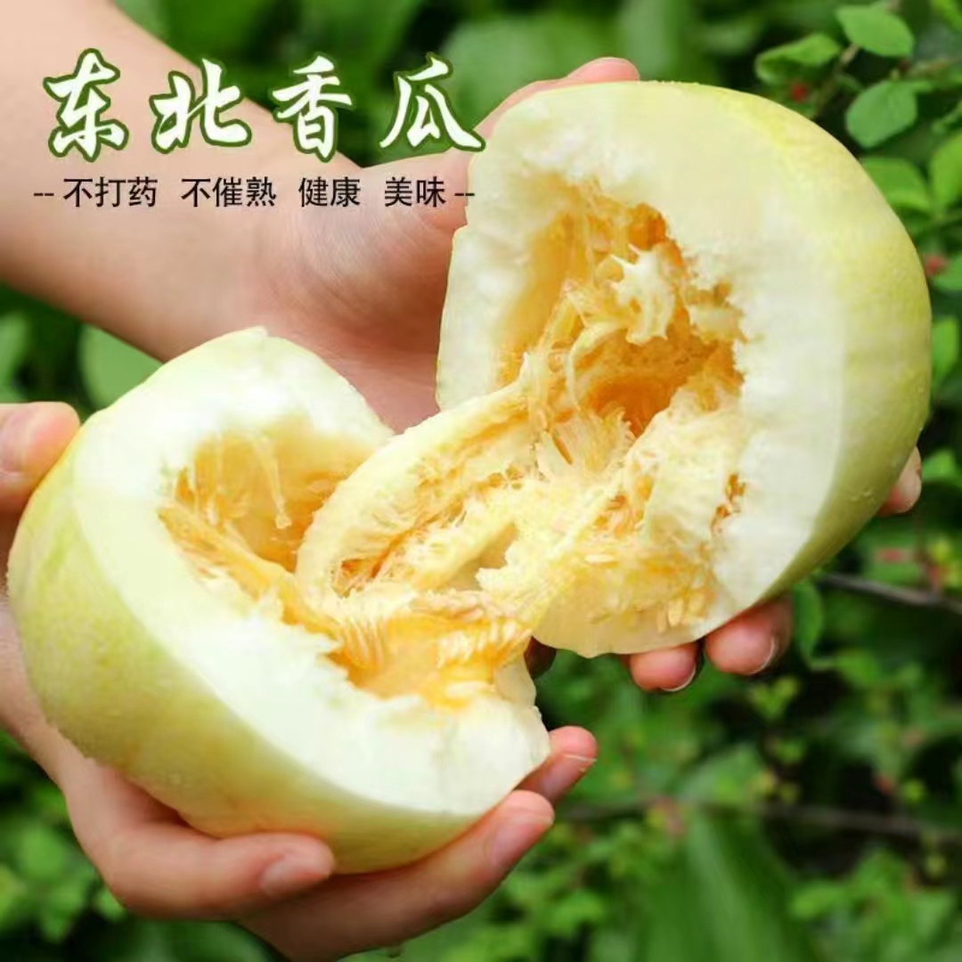 长白山东北珠宝大香瓜