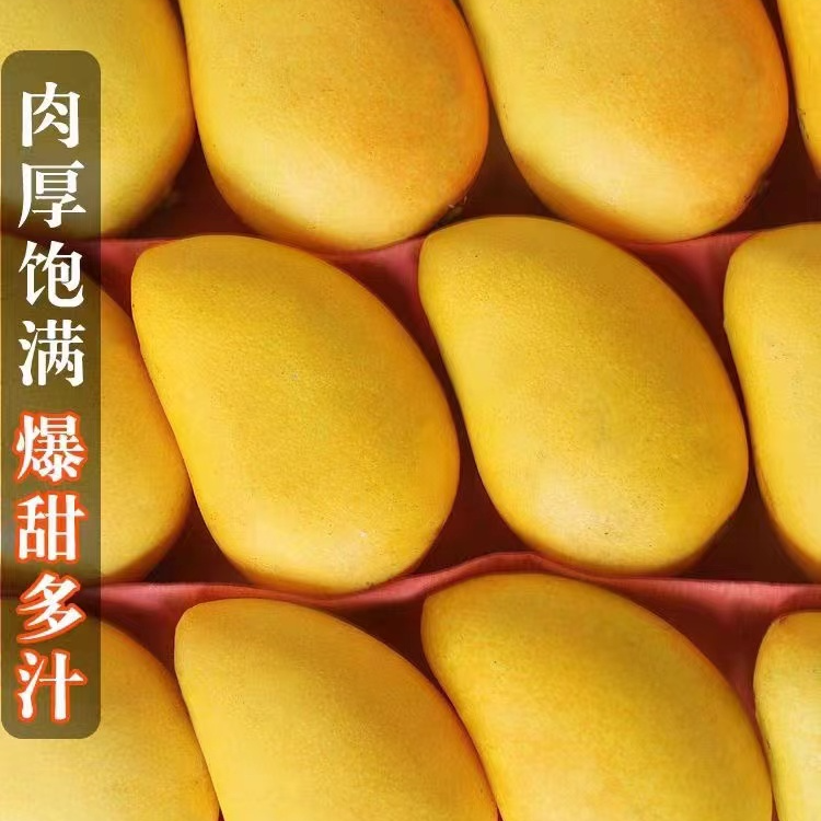 【空运】海南小台芒