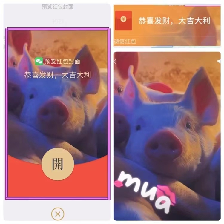 【猪猪】红包封面2024新款动态设计服务b