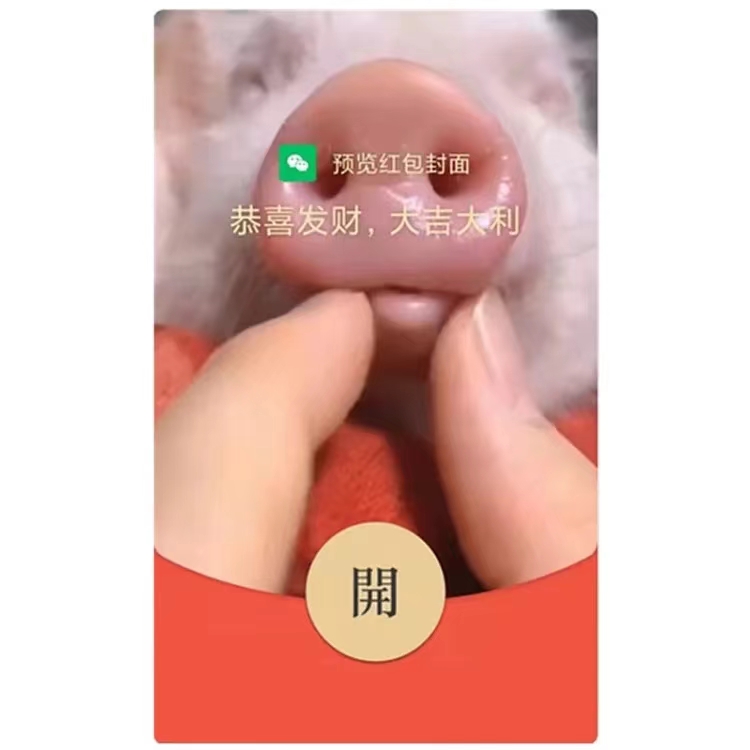 【粉嫩猪鼻子】红包封面2024新款动态设计服务C