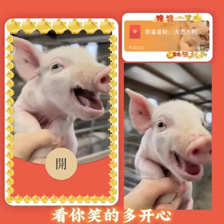 【看你笑的多开心】2024跨年红包设计封面情侣浪漫告白皮肤服务整活