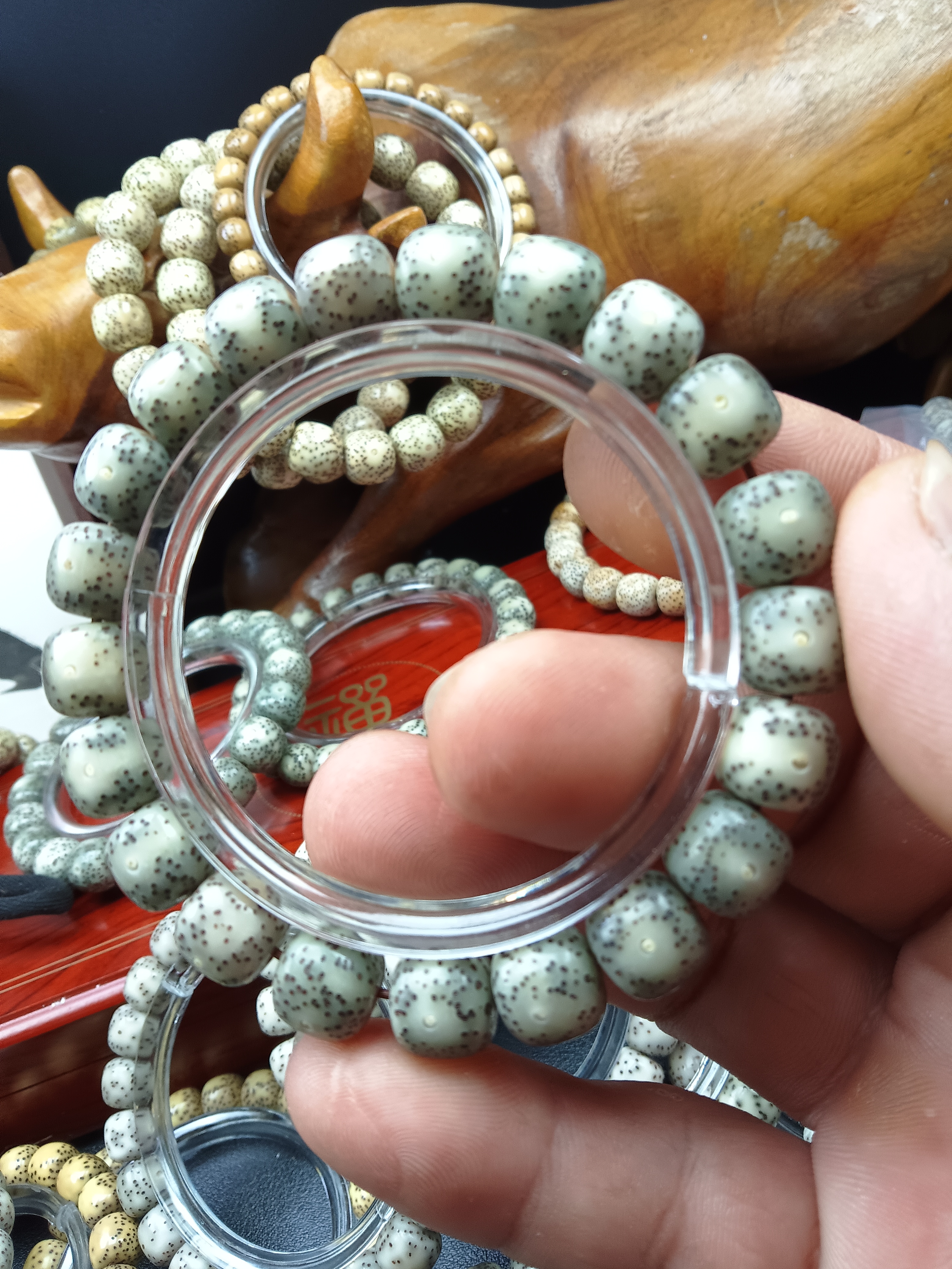 海南星月菩提11/10