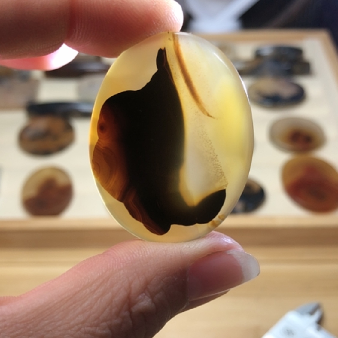【闪购商品】玛瑙/玉髓颈饰合金