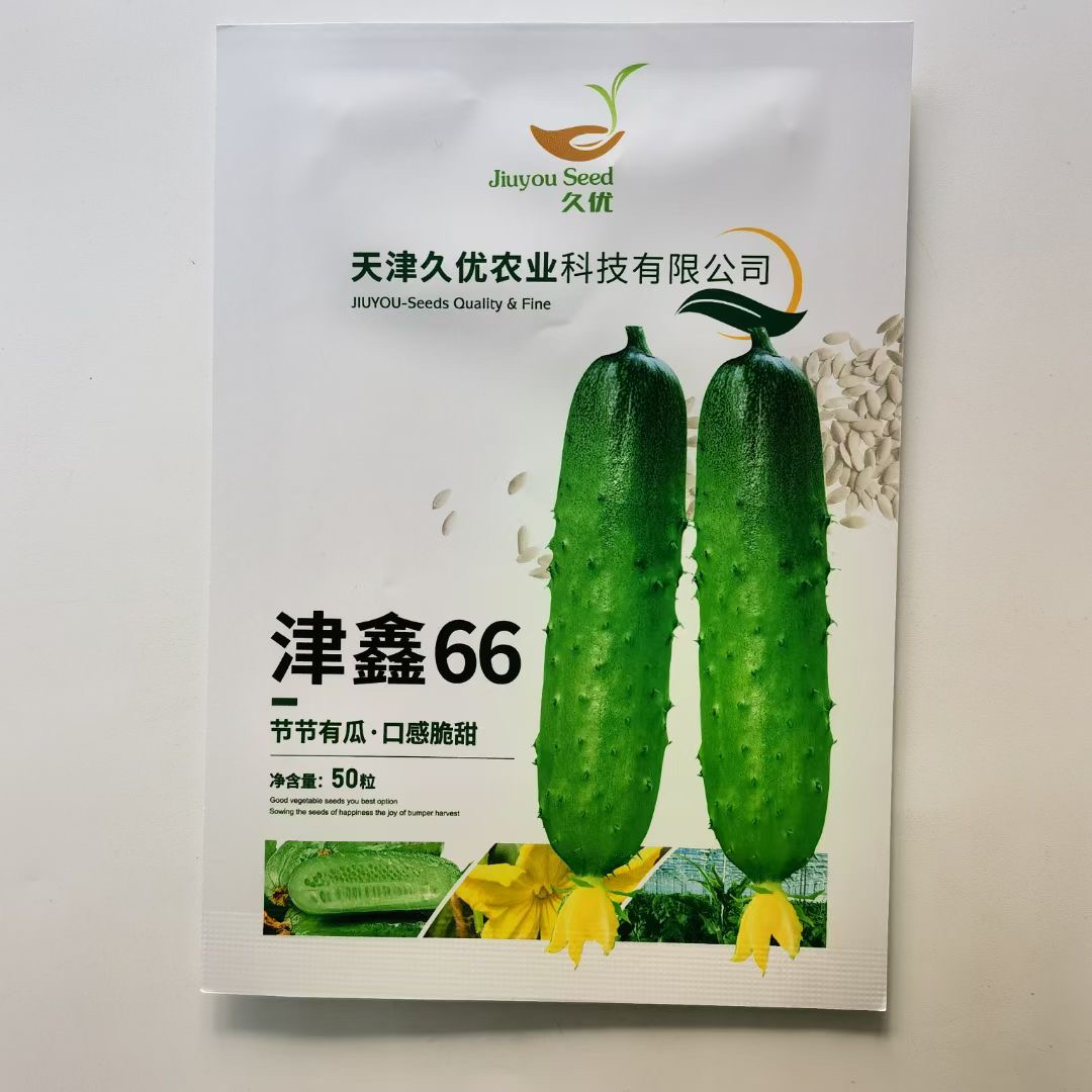 嫩绿种子蔬菜种籽籽短棒油亮抗病强春秋季露地大棚嫩水果生长种籽