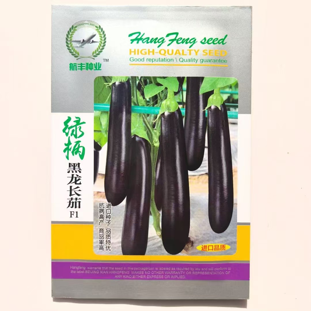 紫红长茄软糯种子紫红色红茄长茄子种籽四季春季农家田园蔬菜种孑