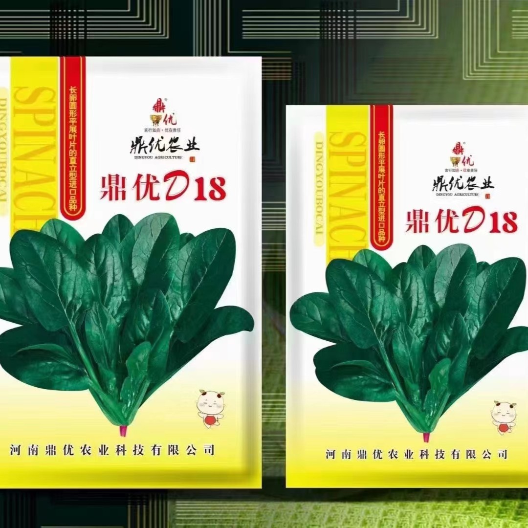 大叶菠菜种子耐热夏季种籽菠菜种籽春秋冬四季农家蔬菜菠菜籽菜子