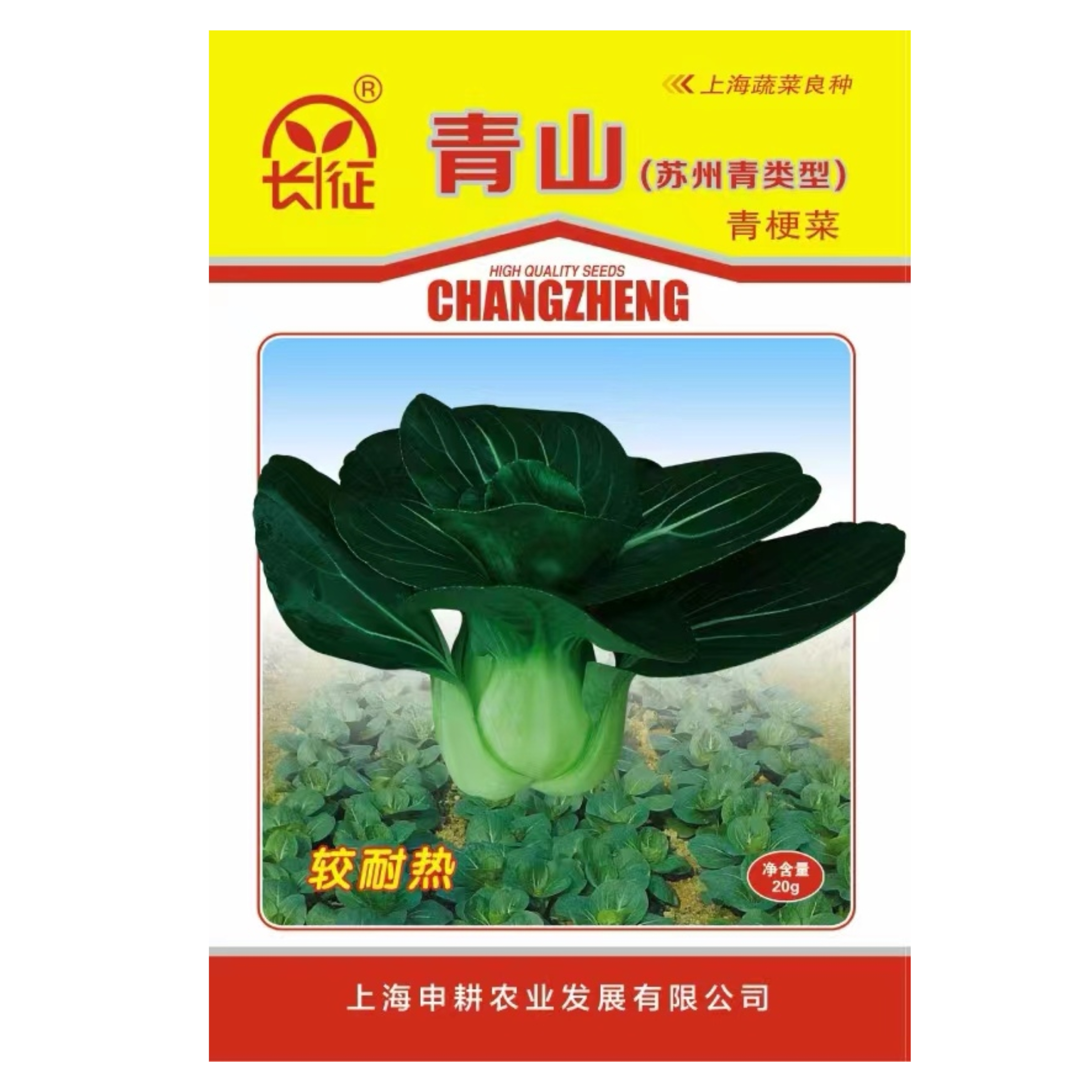 耐热小青菜种子蔬菜种孑青菜种籽大全庭院阳台蔬菜种植夏季菜籽种