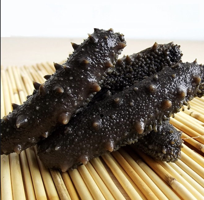 【丽丽推荐】拉缸盐半干海参500g 青岛发货美味