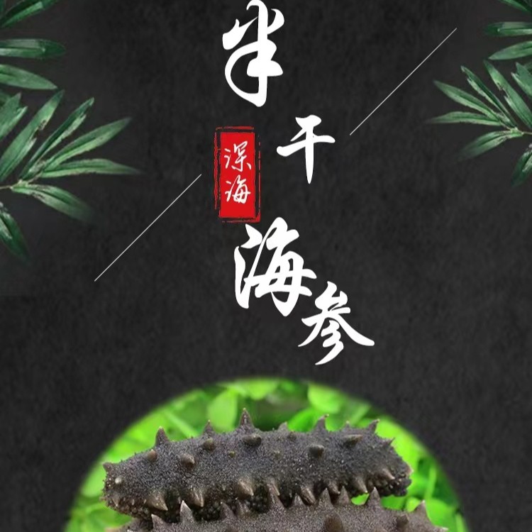 【丽丽推荐】拉缸盐半干海参20-30头左右500克青岛发货美味