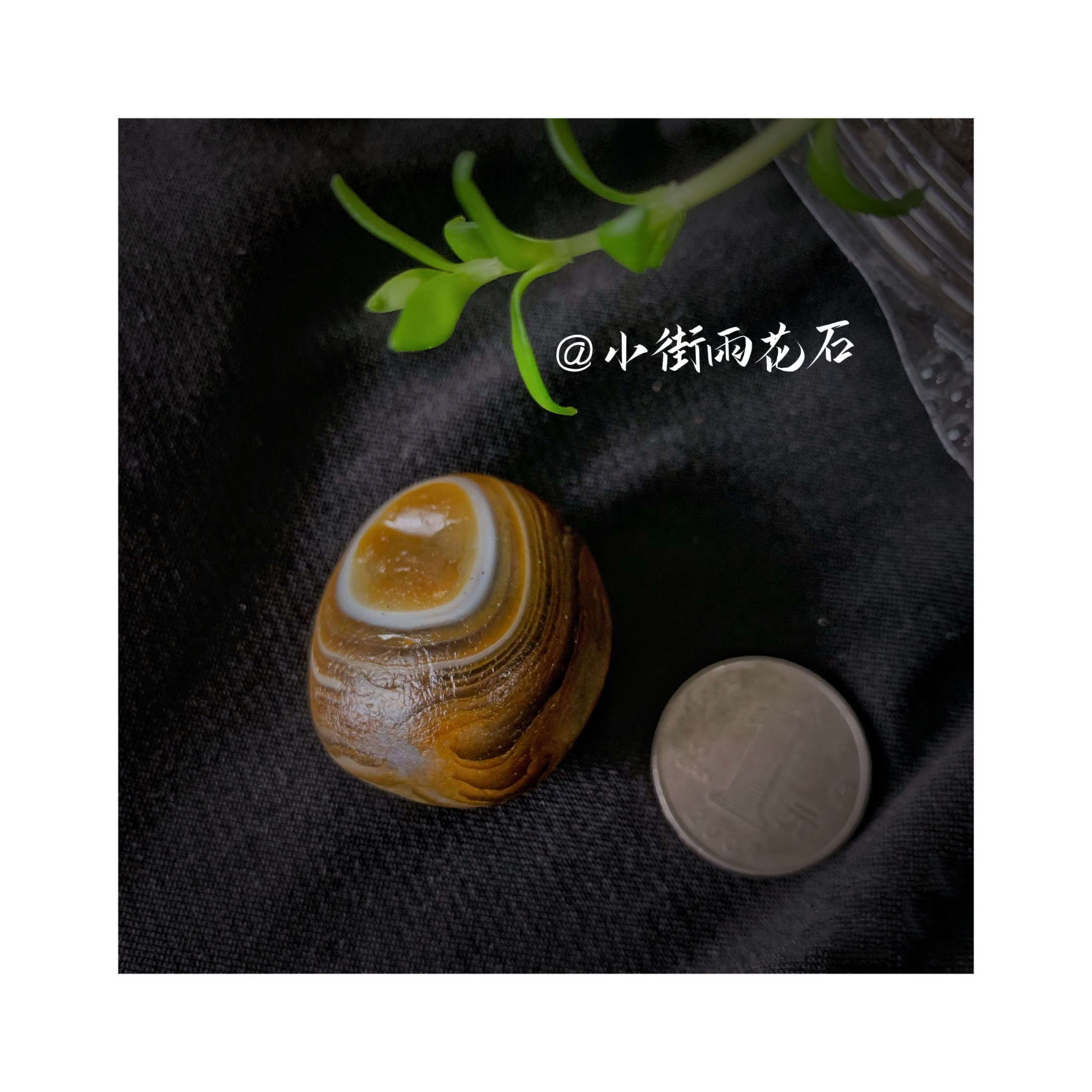 南京雨花石原石 石中皇后