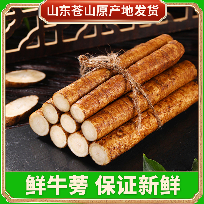 现挖新鲜牛蒡根兰陵农场新鲜蔬菜正宗牛蒡生鲜牛蒡新鲜牛蒡根正品