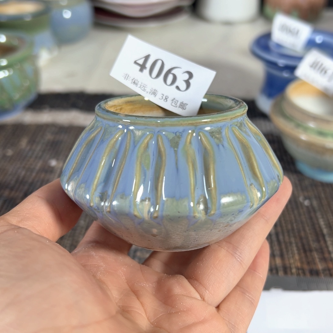 红陶20CM（含）-50CM（不含）