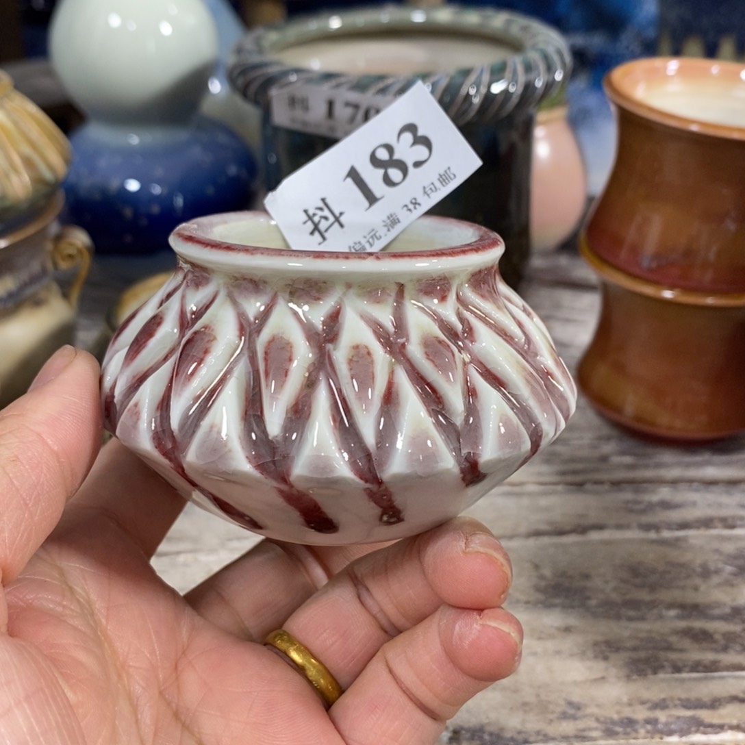 红陶20CM（含）-50CM（不含）福利