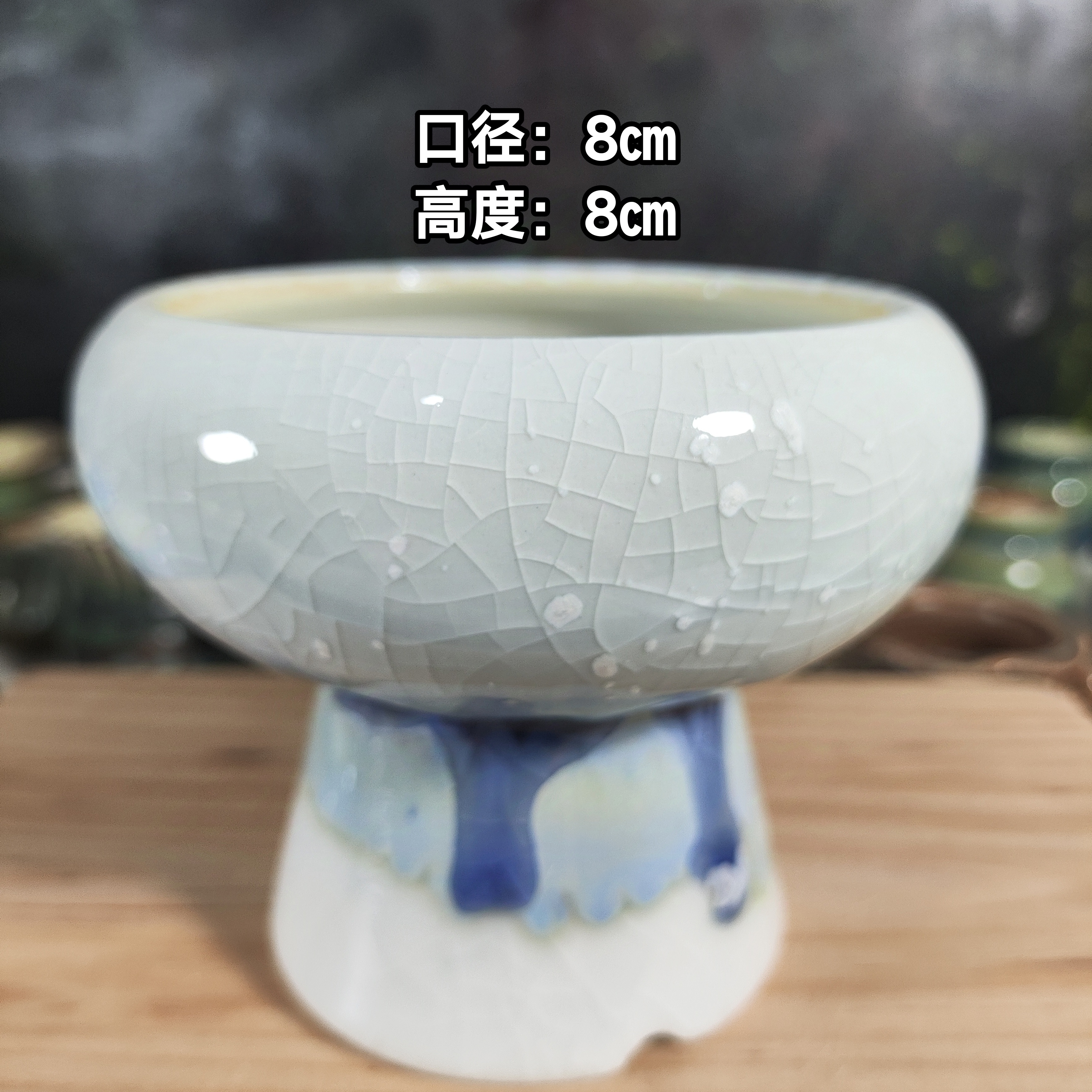 手工创意多肉花盆摆件老桩多肉法师群生多肉花盆景德镇纯手工制做