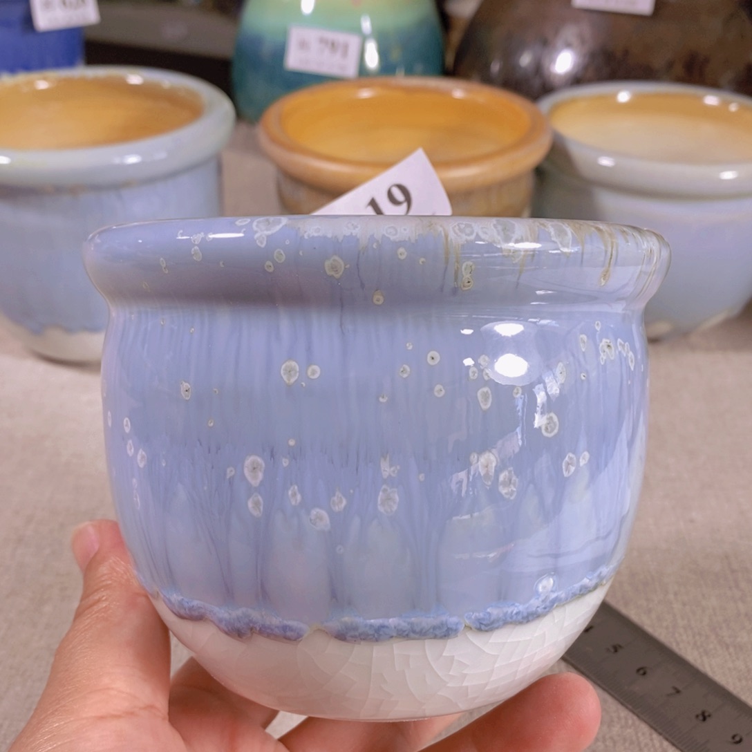 红陶20CM（含）-50CM（不含）福利