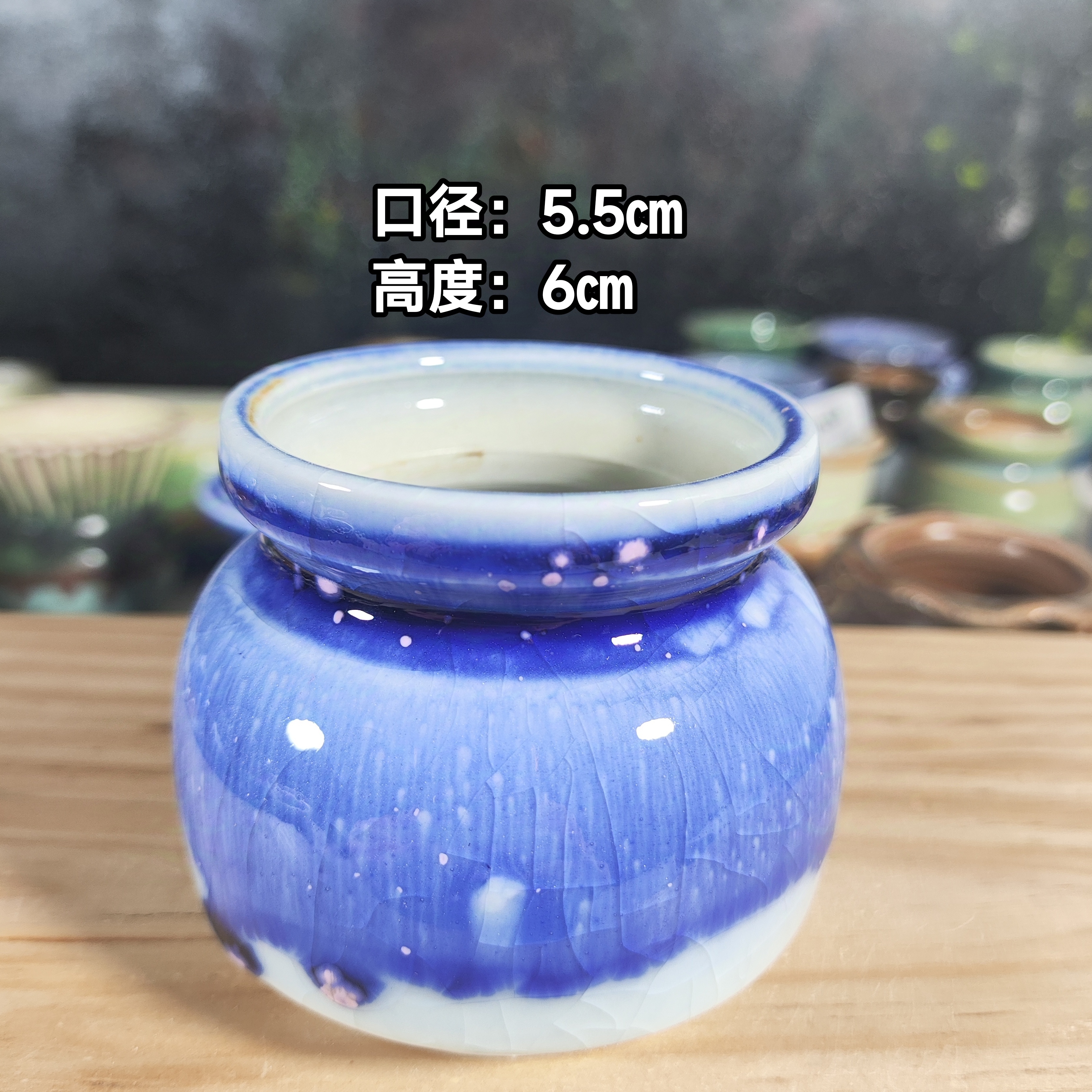 手工创意多肉花盆摆件迷你多肉花盆景德镇纯手工制做