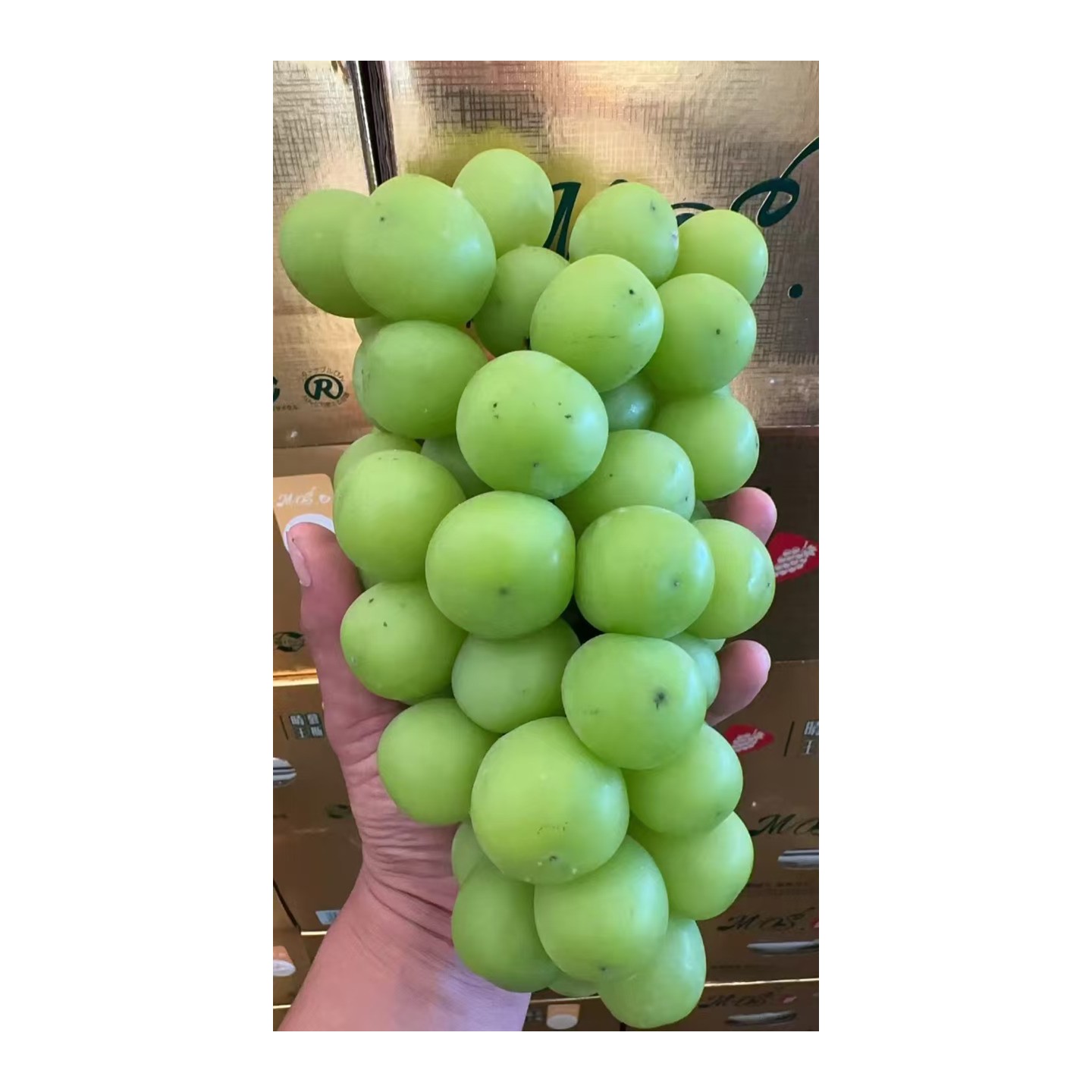 超大颗粒纯甜晴王     49.8/箱 （毛重7斤）    8.9元/斤