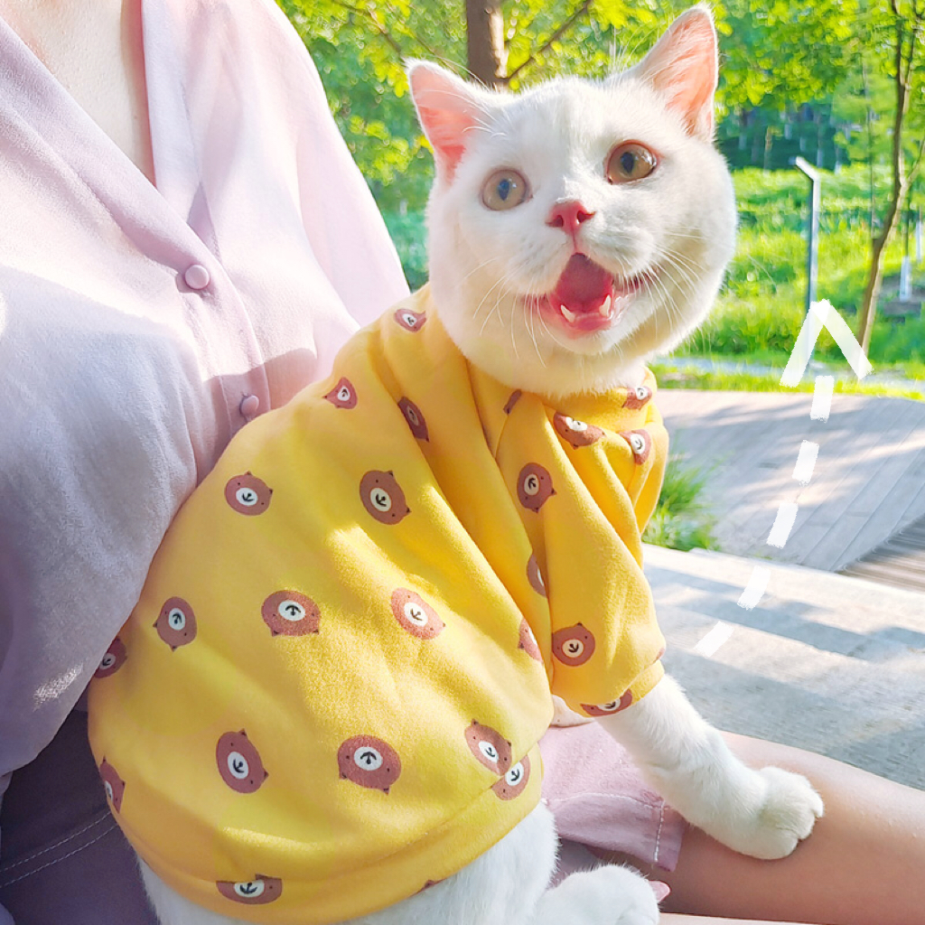 可爱猫咪衣服春秋薄幼猫蓝猫宠物防掉毛泰迪狗狗小型犬衣服秋冬款