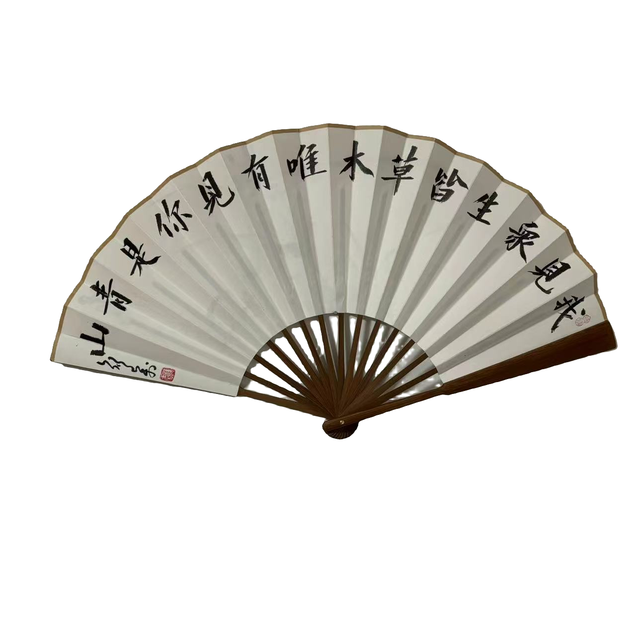 颜玉利手写书法老油竹折扇《我见众生皆草木》10寸15方
