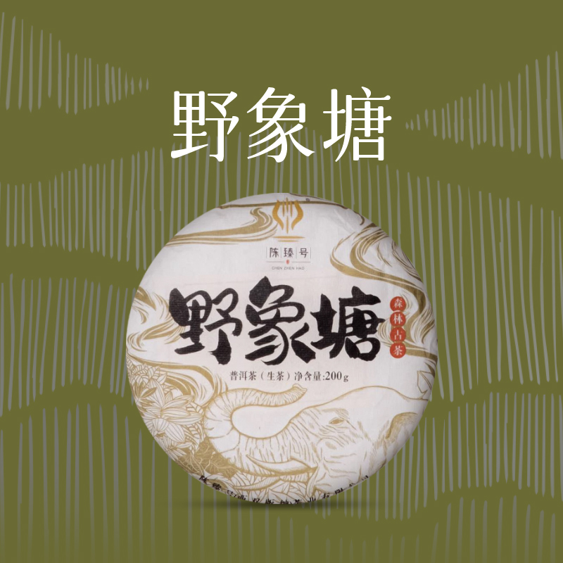 【陈臻号古树茶】2022年野象塘200克饼装【冰甜细腻，茶脂弥香】