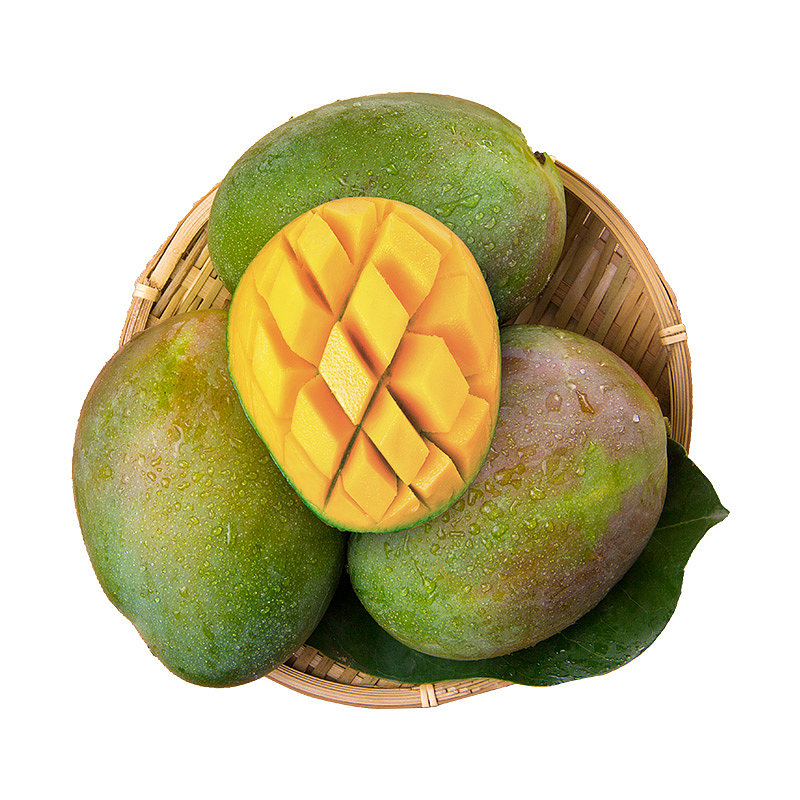 凯特芒果大脸芒果新鲜芒果现摘现发香甜多汁