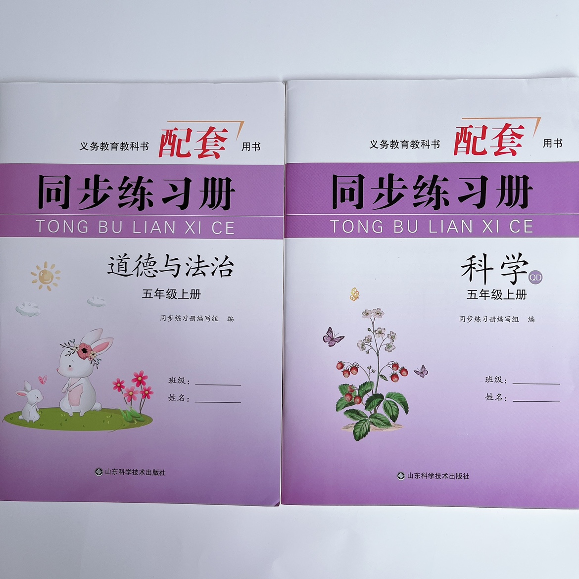 2022新小学5五年级上册道德与法治科学青岛版同步练习册山东科技