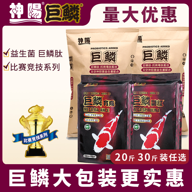 神阳巨鳞锦鲤饲料比赛级育成增体增色颗粒易消化鱼粮大包锦鲤鱼