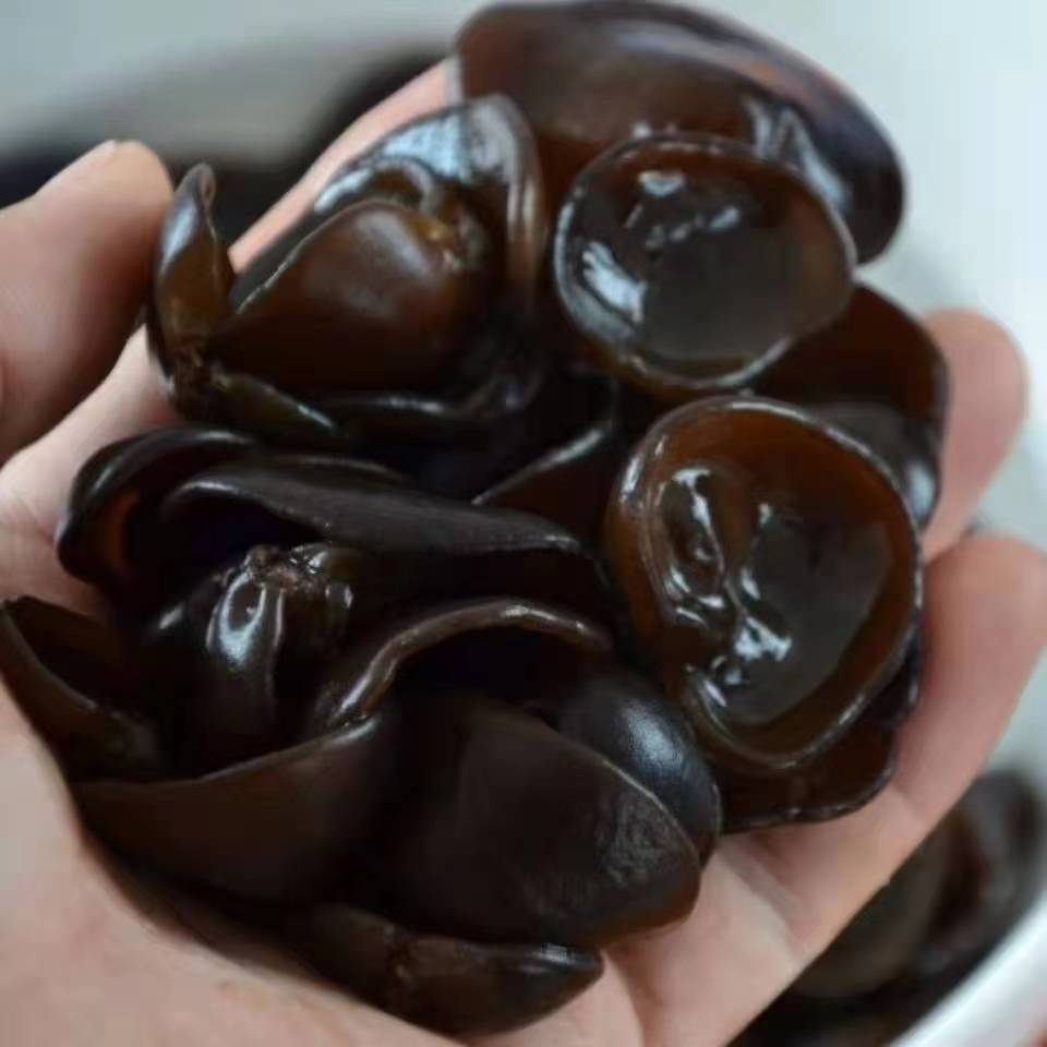 2025年新货小碗耳秋木耳东北黑木耳干货，长白山特产优选肉厚甄选