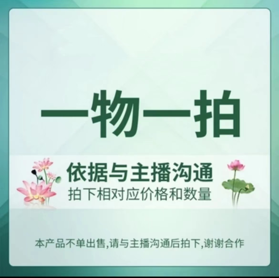 【朱顶红】进口种球大球盆栽花苗重瓣朱顶红种植浇水单瓣栽培低温