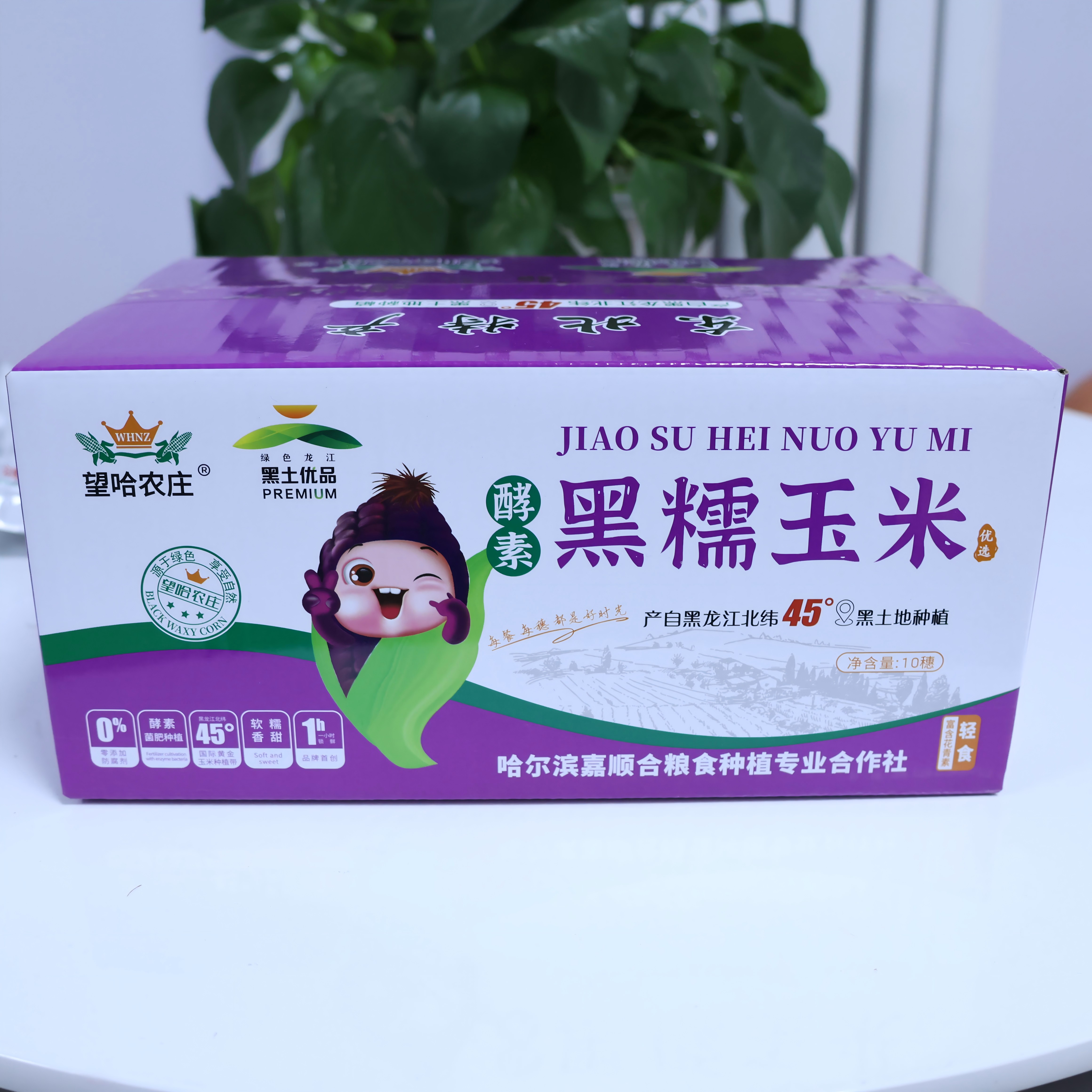 【木妈妈专属】望哈农庄黑糯玉米（每箱10棒，每箱4.5-5斤）