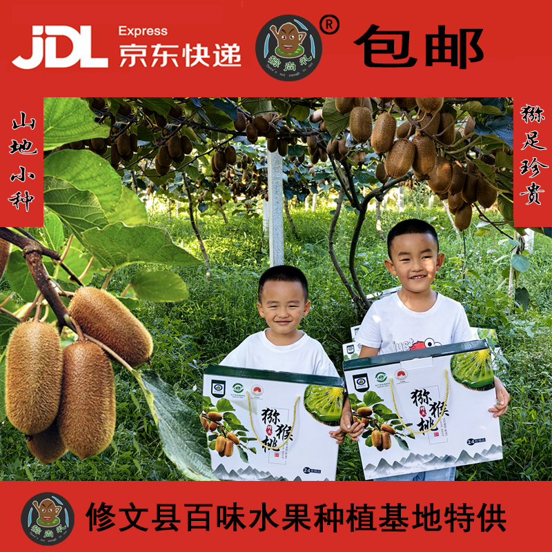 猕尚礼24枚精品装人情礼品赠送